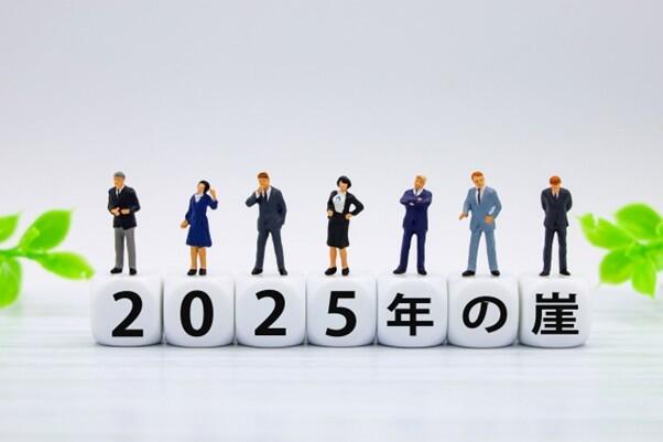 ついに今年!2025年の崖とは?問題点や対策も紹介